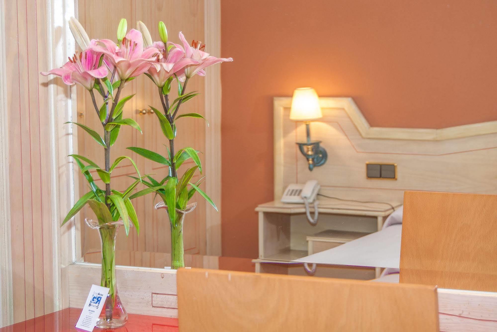 Ana Maria Otel Granada Dış mekan fotoğraf