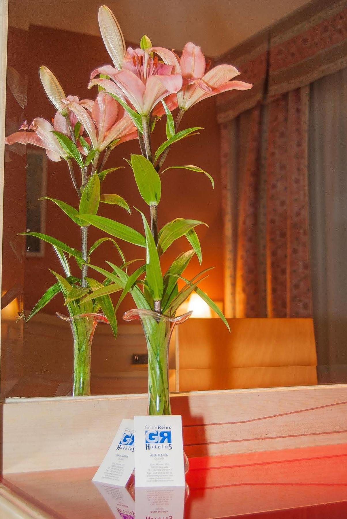 Ana Maria Otel Granada Dış mekan fotoğraf